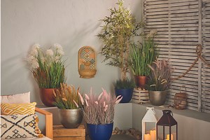 Aldi launches 'inspired by Italy' garden range with prices from just £3 - Netmums