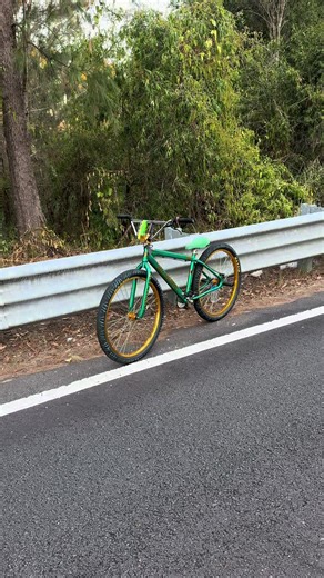 Epic Bike Trick Attempt: Overcoming Injury