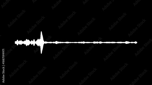 Sound waves meter, minimal music sound wave icon animation, audio sound visualizer wave spectrum, White audio waveform, Sound wave isolated animation, White Sound Wave Visualizer on Black Background,