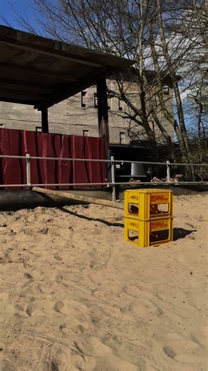 Sein erster Sprung damals😍// würdet ihr hin später mal springen wollen wenn er so weit ist.#viral❤️🙏🏼 #videoviral #gönndochfy #fyyyyyyyyyyyyyyyyy #foru @☄️Chaos.Rhani☄️ @Maja @Blaze Rakete 🚀 ❤️ @⚡️MIA & GRACE⚡️ @💫Absolut Crazy💫 @frieda.1 @🪐 S U N L I G H T 🪐 @alxnq.privat_shitttt123 @Leonie_naira14 @toni_165 @SUNNY - Genie und Wahnsinn @Pferde-Mama @mimi&bell