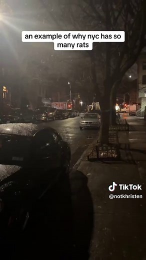 Understanding New York City's Rat Problem