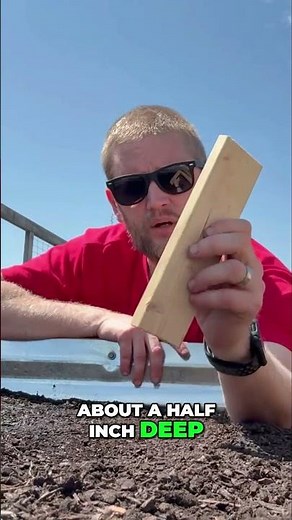 Grow Beets & Arugula Like a Pro: Easy Garden Planting