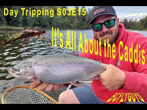 Stillwater Fly Fishing: It's All About the Caddis - BCFLYGUYS Day Tripping S03E15