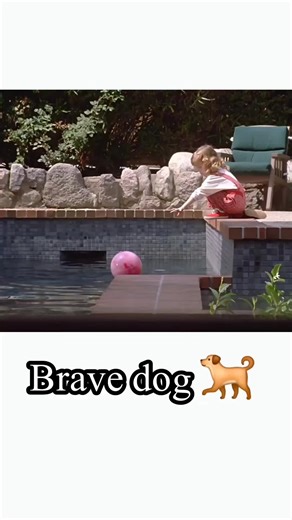 Hollywood Movie Explained in Hindi: Plot Breakdown