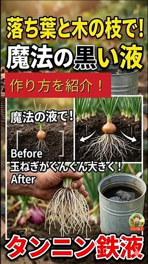【保存版/タンニン鉄作り方】根張りが良くなる！#タンニン鉄液#家庭菜園ハック#アースイーターズ#農業 #自然農 #家庭菜園