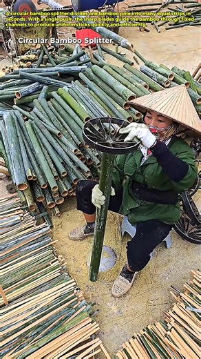 Splitting Bamboo Instantly : How This Simple Tool Creates Perfect Bamboo Sticks