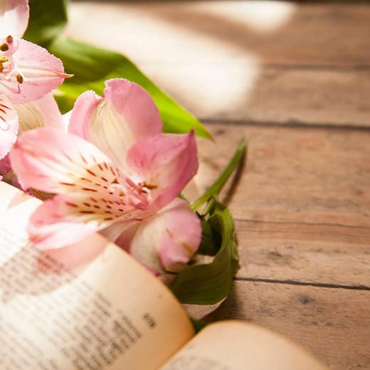 Celebrate Easter Sunday With 50 Easter Bible Verses