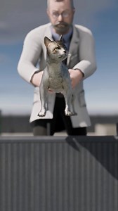 1.4M views · 8.4K reactions | Can Cats Survive Falls From Tall Buildings 樂 #shorts #memes | CGI View | Facebook