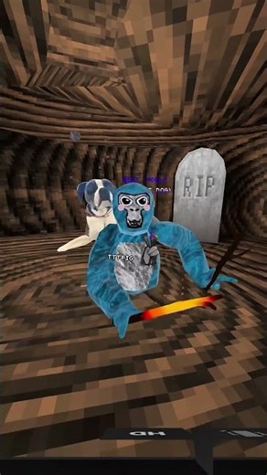You Should Get This Gorilla Tag Copy #gorillatag #gtag #vr #vrgoogle #googlevr #jesus