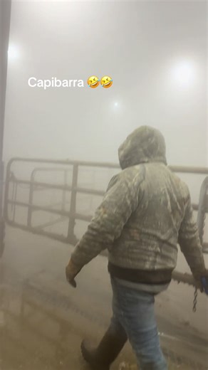 #🤣🤣🤣🤣🤣🤣🤣🤣🤣🤣🤣🤣🤣🤣🤣🤣 capibarra🤣🤣🤣#fpyシ❥tiktok🖤🔥🔥fpyシ❥tiktok#trabajando🥶❄️☃️☁️#LIVEIncentiveProgram #pppppppppppppp