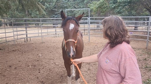 Denise Phillips on Reels