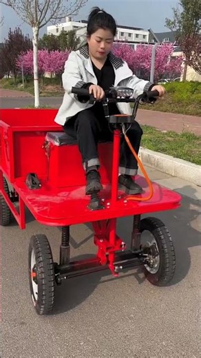 🔥 Electric Loading Rikshaw Test – Heavy Load Easy!