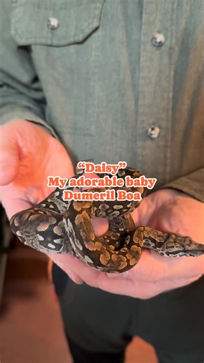 Brett Ridgeway on Reels