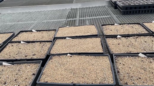 2.8K views · 209 reactions | Winter is the time for sowing and...