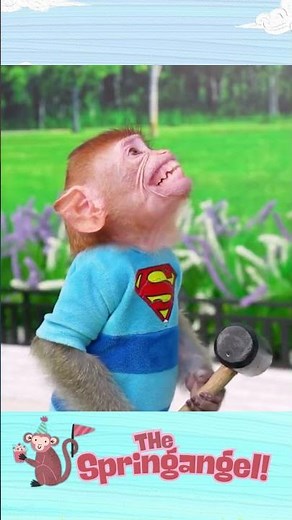 What language do monkeys call aliens