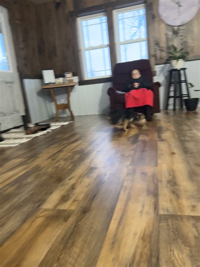 Yorkshire Terrier - Yorkie puppy for sale