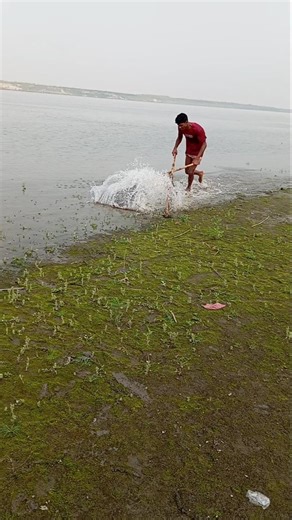 Today I came out to catch fish." #birdfish