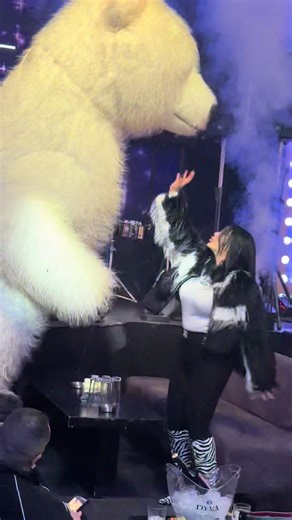 New Trends from Lebanon and Egypt