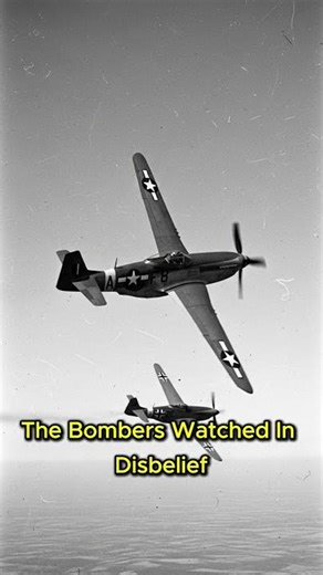 One Pilot vs 30 Fighters