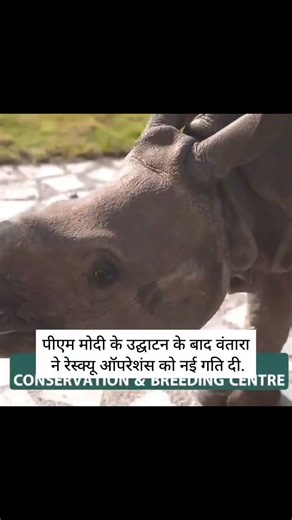 Vantara Rescue operation on fast mode🌳⚡...| #pmmodi #modi #vantara #ambani #fypシ #shorts #viral