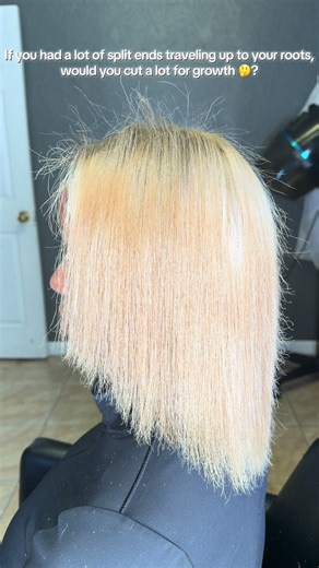 If you had a lot of split ends traveling up to your root, would you cut a lot for growth 🤔? #fyp #foryoupage #haircut