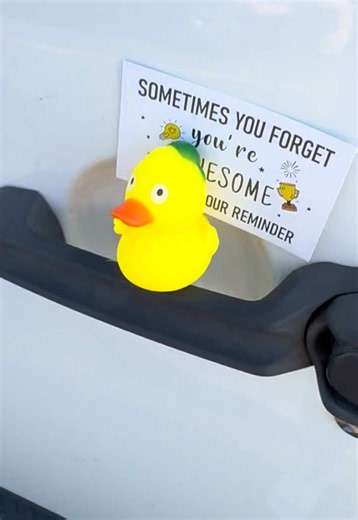 Jeep Ducken: Entscheidung gezwankt? Kurzclip mit DuckDuckJeep