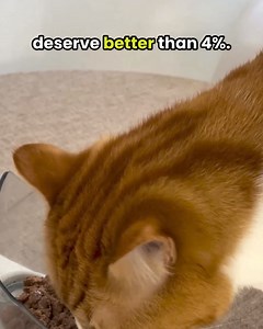 Did you know: 95% of cat parents see incredible health changes after switching to KatKin? 樂 From less mess in the litter tray to improved appetite and softer, thicker fur. Because our real meat recipes help cats thrive. No compromises. Sign up today + get 20% off your two-week trial box of fresh cat food. | The Millennial Cat Owner | Facebook