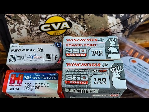350 Legend | 100 Yard AMMO TEST