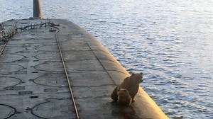 Russian Bears Jump Aboard a Nuclear Submarine