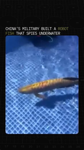 AI War Room on Instagram: "China’s military just tested a robot that swims like a fish. The bionic underwater drone, built to mimic the movement of real fish, can move quietly and change direction fast. It’s part of a growing push for “intelligent unmanned systems” designed to operate deep underwater without detection. Developers say the fish-drone can navigate complex environments, gather data, and conduct surveillance where submarines can’t. Its flexible tail and silent propulsion make it near