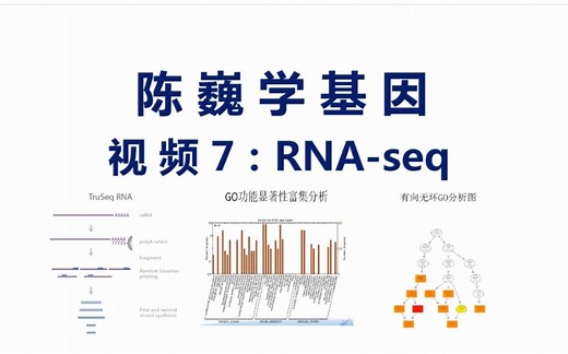 【陈巍学基因】视频7：RNA-seq