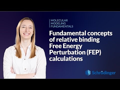 Fundamental concepts of relative binding Free Energy Perturbation (FEP) calculations