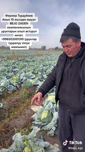 Семена от компании BEJO ZADEN. По всех интересующим вопросом обращайтесь по телефону: 996502001310 #bejozaden #бишкек #рек #семена