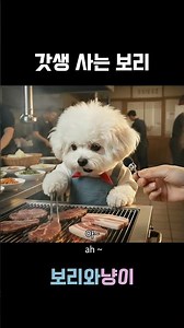 Barley, a newborn🐶💕 #meat #meatrestaurant