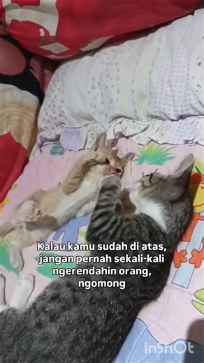 Jadilah Baik Apapun Kondisinya
