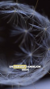 364K views · 8.1K reactions | Capturing Movement in Fluff by Euglena (Credit: __euglena/ig) | Enigma Elysium | Facebook