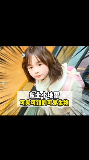 东北小地雷是怎样的生物