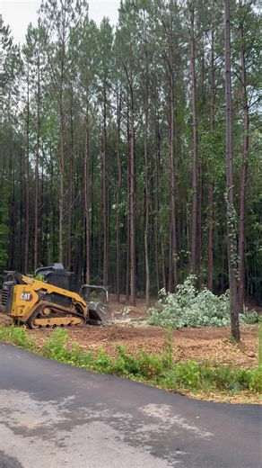 🌳 Got pesky little trees taking up space in your yard? We've got the solution! Forestry mulching can turn trees up to 8 inches in diameter into nutrient-rich mulch that your yard will love. 🌱 Did you know? Mulching can help retain soil moisture and suppress weeds! Ready to clear out those small trees and boost your space? Send us a message for a FREE estimate today! 💬✨ #landclearing #undergrowth #caterpillar #brushclearing #beastmode #skidsteer #forestry #mulching #working #treework #smallbus