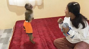 Little Jason Lovable Conversation With Mom Amusingly | Monkey Jason