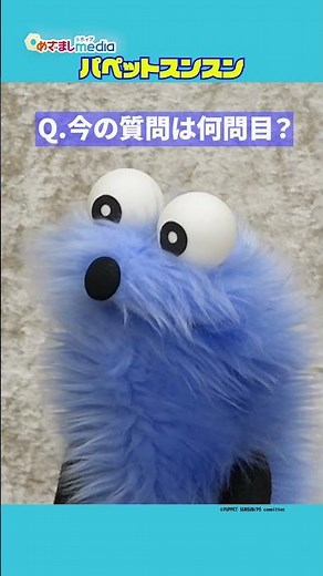 ＃パペットスンスン のモーニングルーティンは？水飲み休憩も ～30問30答に挑戦～