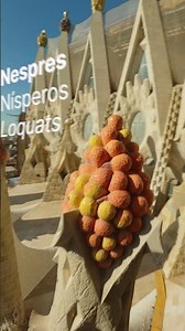 Fruites de primavera i l’estiu | Frutas de primavera y el verano | Spring and summer fruits