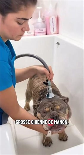 58 kg d'amour pour le bain de Manon ! 🐶🧼