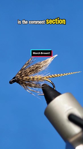 March Brown Fly! Hook: @AhrexHooks FW581 size 8 Thread: @semperfli 12/0 classic wax Tail: lemon wood duck Wing: mottled turkey Body: hares ear Rib: oval tinsel Hackle: brahma hen cdl Vise: Wolff Indiana Scissors: #TheFlySmith handmade #semperfli #semperfliworldwide #semperfliproteam #semperfliflytying #queensaward #magpieturkeybiots #magpiefinebeaverdubbing #whitingfarms #naturesspiritflytying #sightcastfishing #anadromousflycompany #lidrig #stonfoflytying #fly #flytyingjunkie #flytyingtutorial 