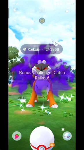 I Got a Shiny Shadow Raikou in Raid Battle! ⚡🔥 #shortvideo #shorts #shinypokemon