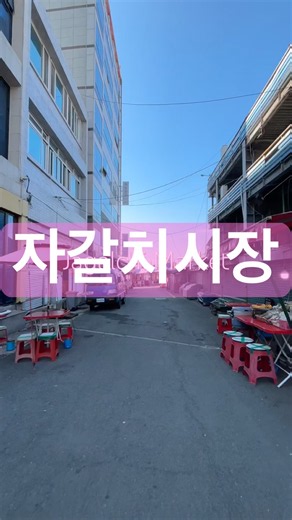 チャガルチ市場🐟 #釜山旅行 #韓国旅行 #釜山vlog #チャガルチ