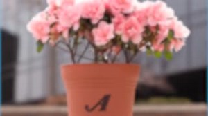 Here is a little recap of what we have been up to this past year. We are ready for you, 2022! | Auto-Owners Insurance