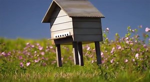 Minuscule, French-made animations about the lives of insects