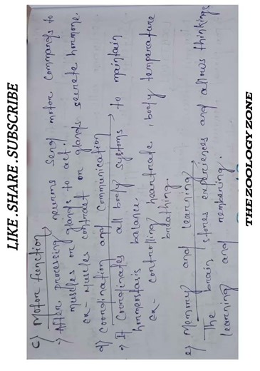 #physiology#nep2020 Structure,function, types of Nervous tissue +3 3rd semester zoology #physiology
