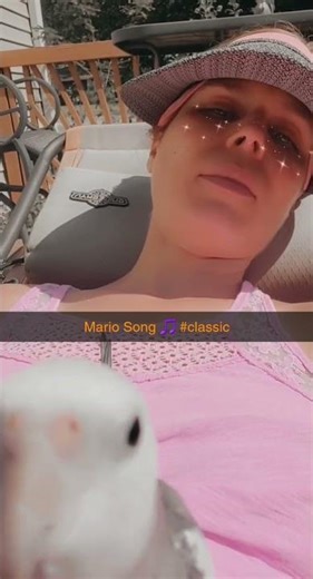 Mario song Cockatiel #content #parrotparrot #birds #baby #parrot #cockatiel