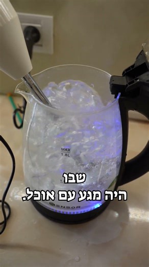 הכשרת בלנדר מוט לפסח